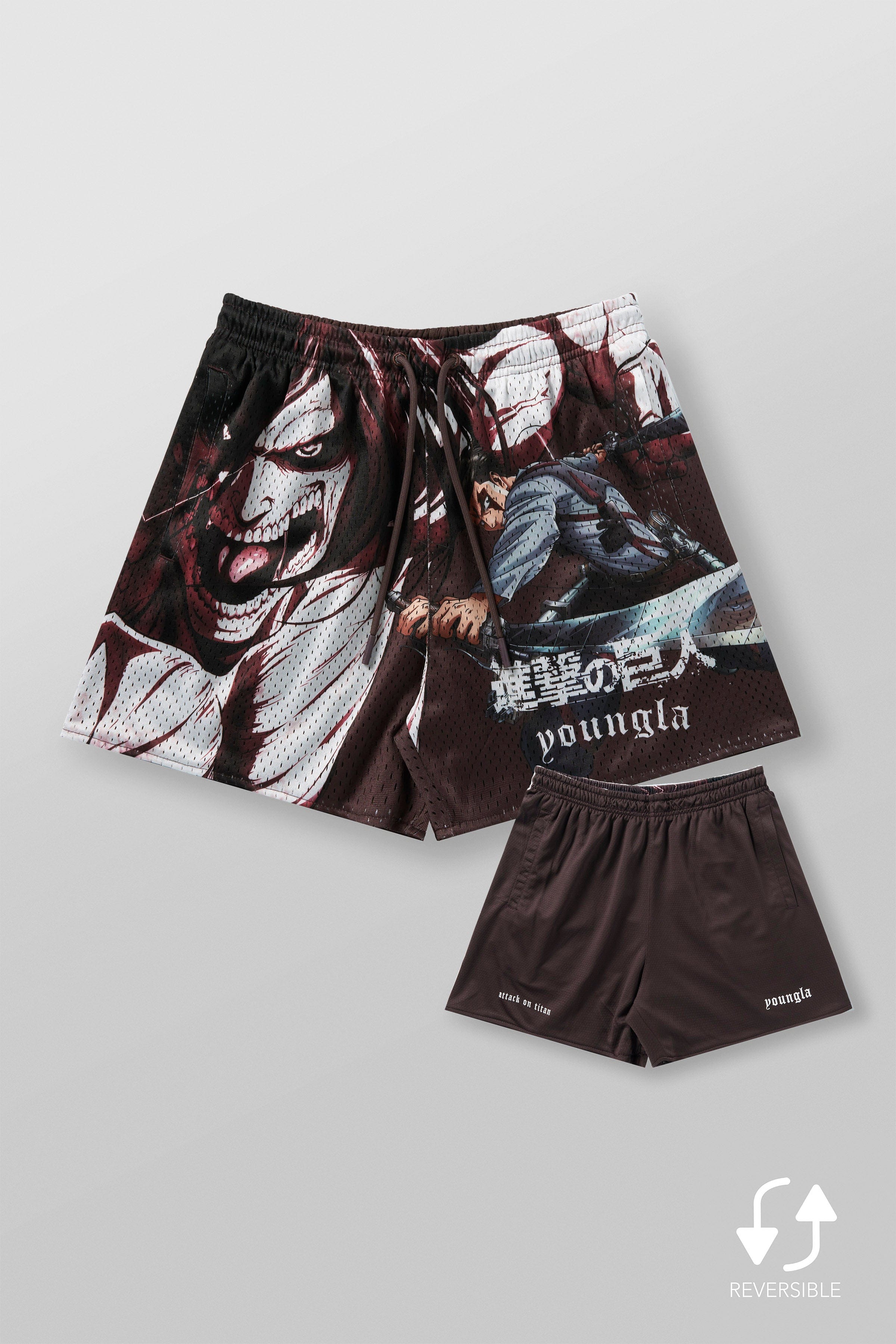1126 - AOT? x YLA Mesh Shorts